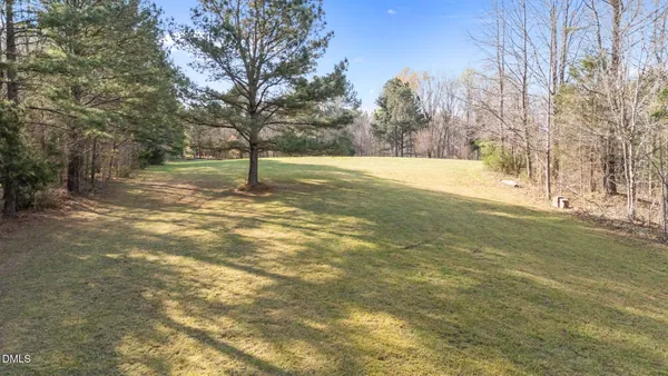 a view of yard with trees