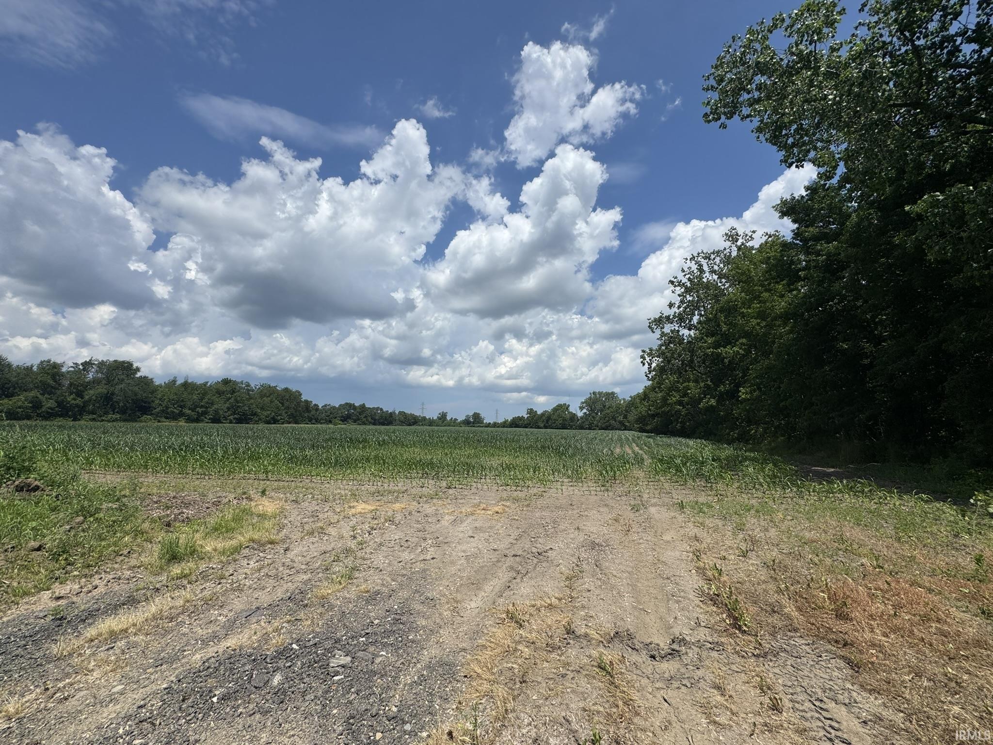 31890 Edison Road New Carlisle, IN 46552 - Photo 3 of 11