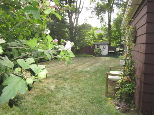 38 Boulevard Road Dedham, MA 02026 - Photo 14 of 18 Gallery Image 14