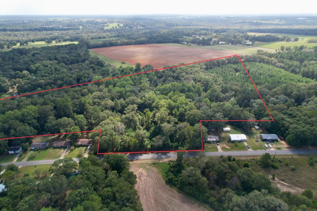 0 JB Chapman Road Midland City, AL 36350 - Photo 2 of 9