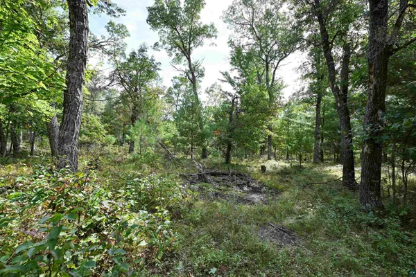 $74,900 | Lot 3 Dragon Drive, Minong, WI 54859