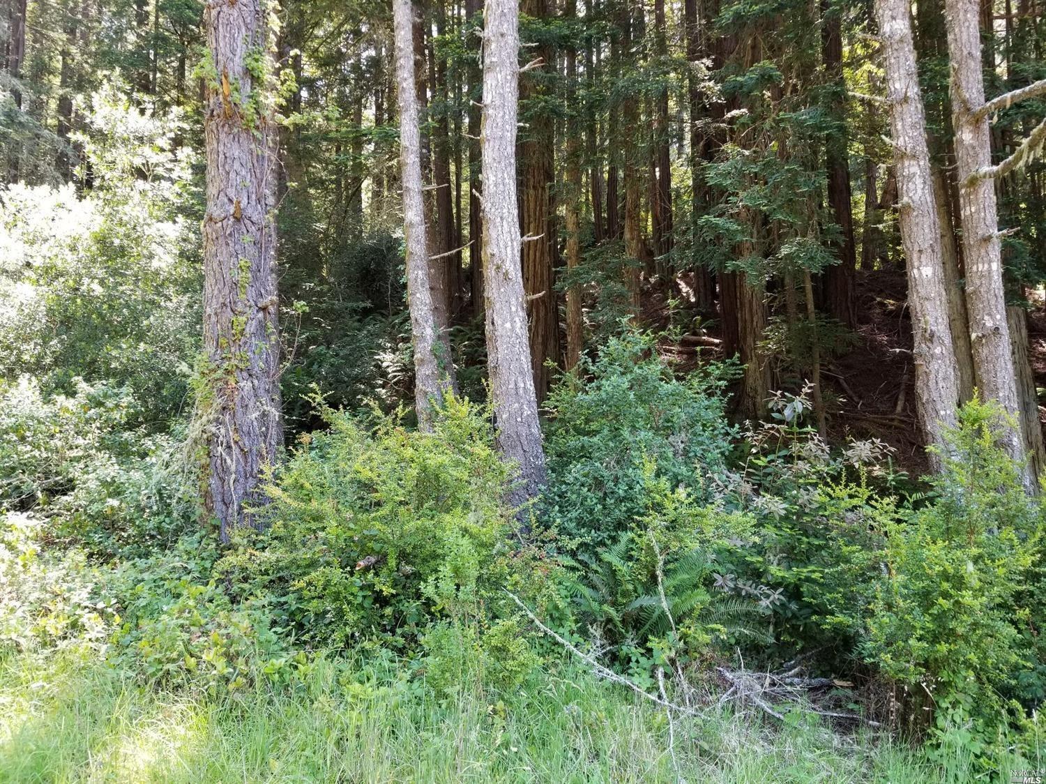 0 Old Stage Road Gualala, CA 95445 - Photo 1 of 1 Gallery Image 1
