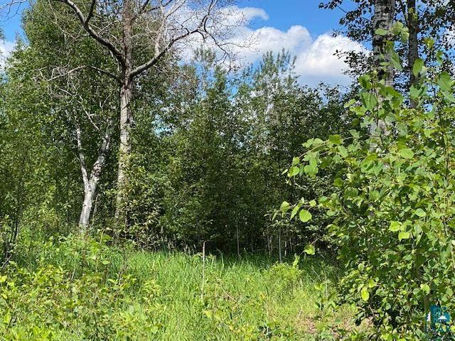 4736 Waisanen Road Embarrass, MN 55732 - Photo 20 of 22