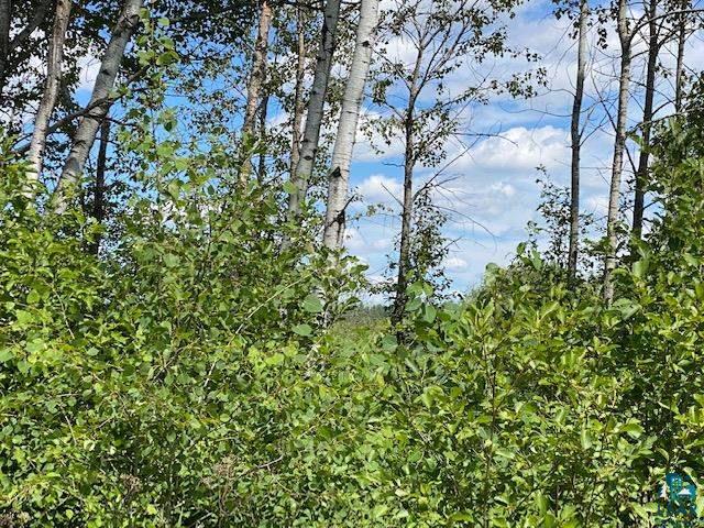 4736 Waisanen Road Embarrass, MN 55732 - Photo 21 of 22