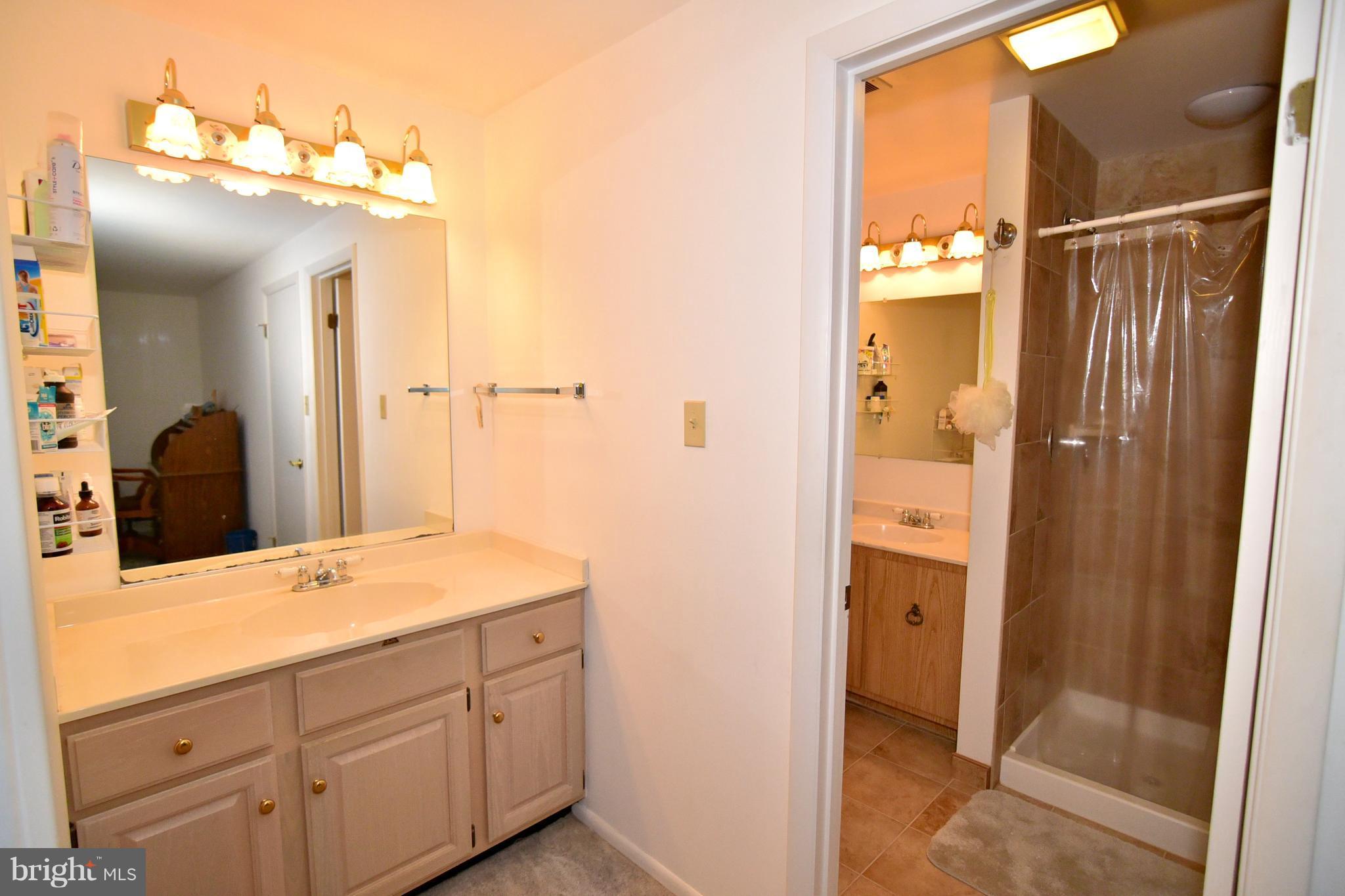 6402 Loy Road Waldorf, MD 20601 - Photo 23 of 30 Bath (Master)