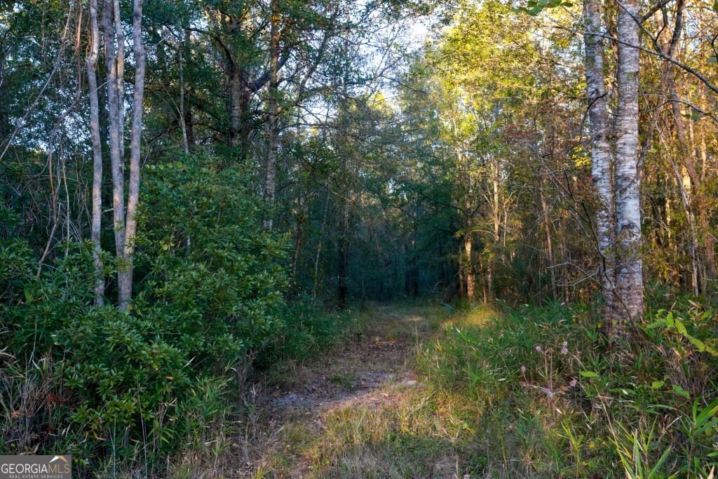 2 Old Savannah Road, Unit TRACT 2 Millen, GA 30442 - Photo 11 of 28