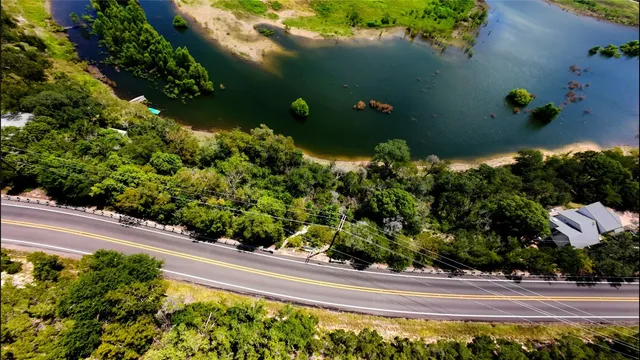 a view of a tree with a plant