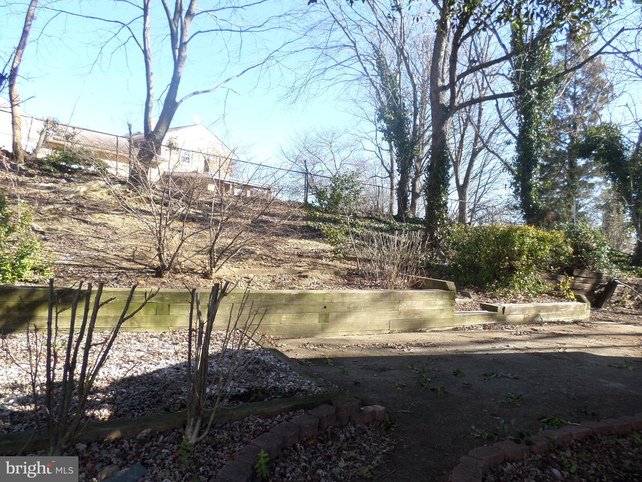 2976 Gracefield Road Silver Spring, MD 20904 - Photo 25 of 25 a view of back yard covered with trees