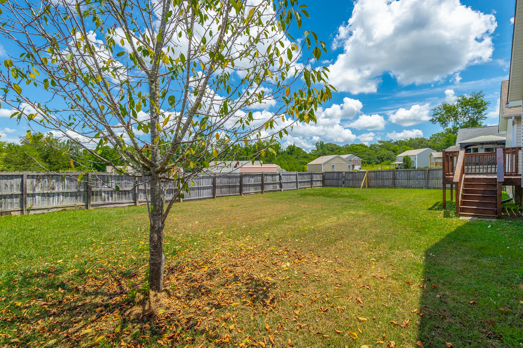 49 Rifleman Drive Rossville, GA 30741 - Photo 43 of 60 49 Rifleman Drive HD-40