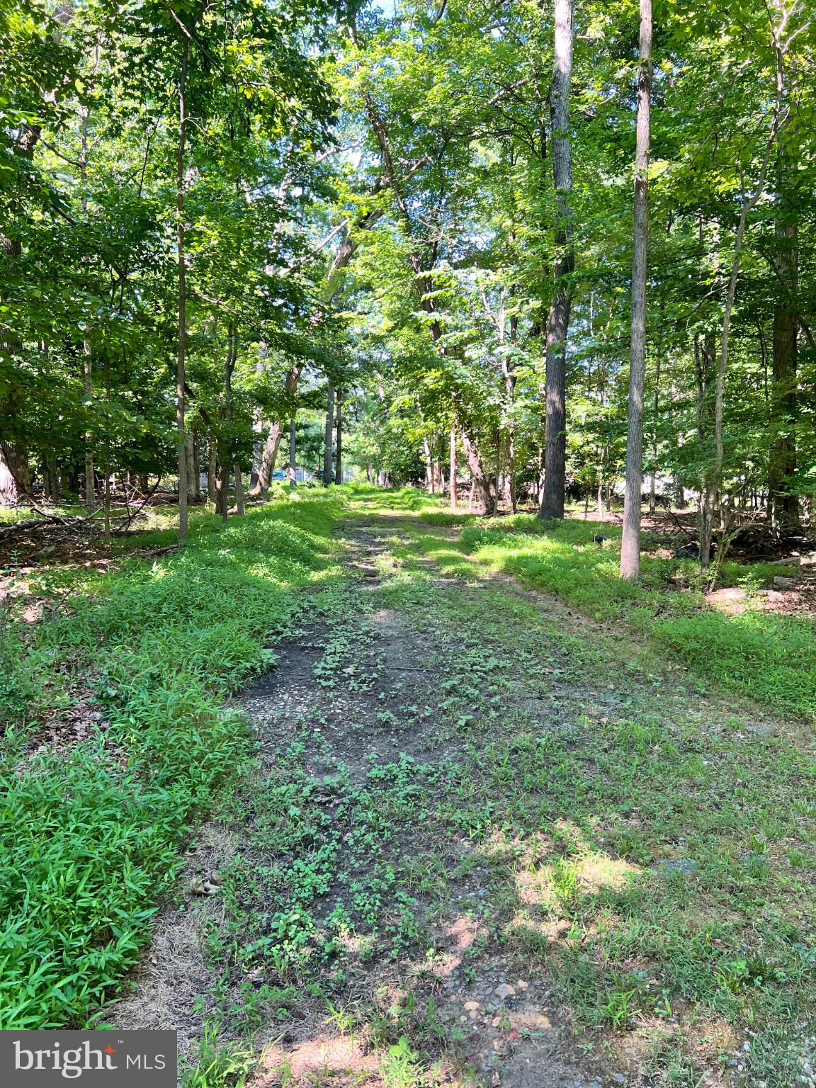 12955 Old Fort Road Fort Washington, MD 20744 - Photo 8 of 11 Serene woodland path awaits exploration.