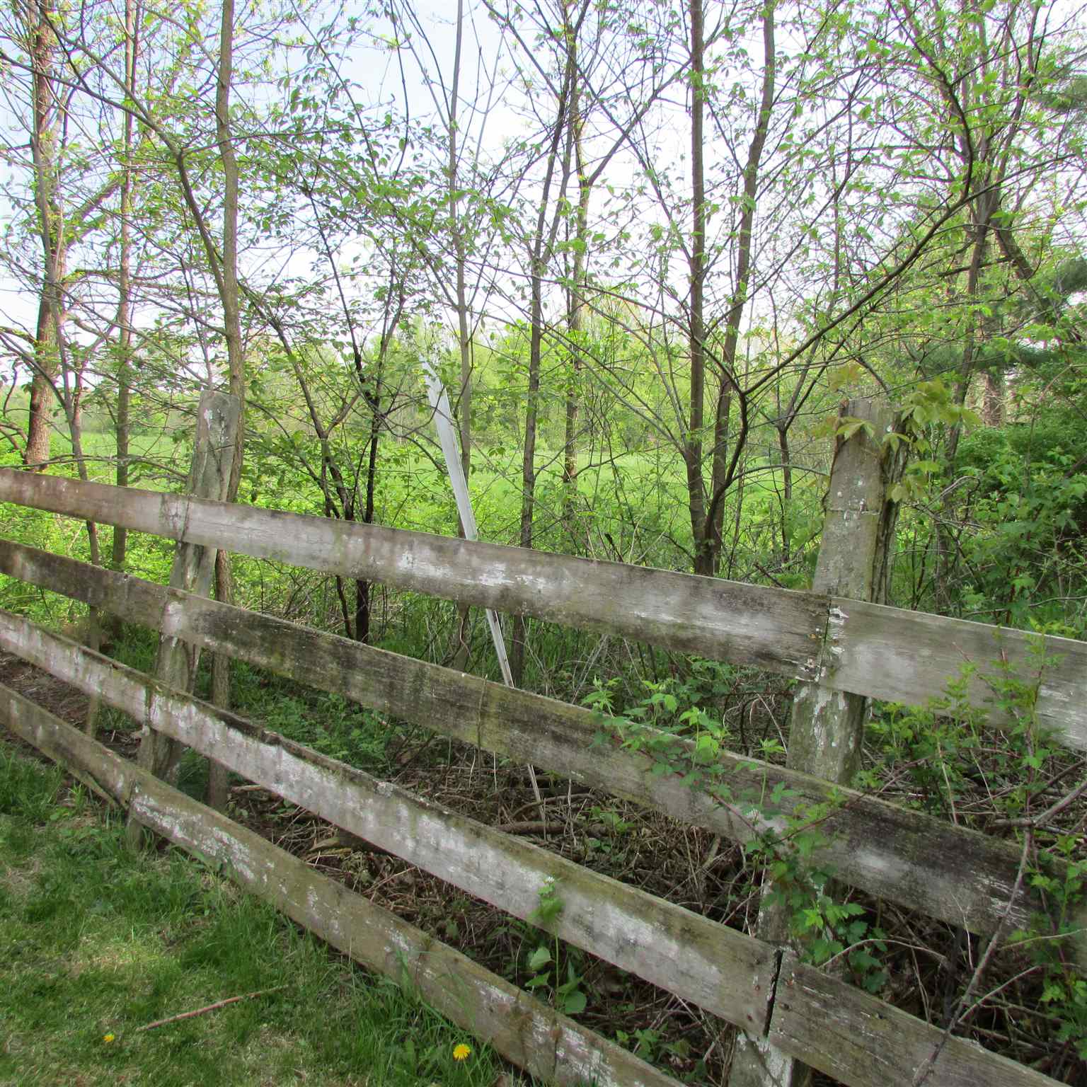1227 North Mexico Road Peru, IN 46970 - Photo 6 of 19 Gallery Image 6