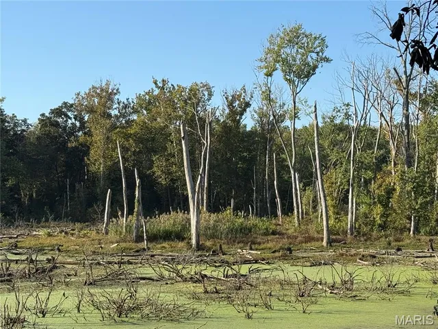 $110,000 | 0 New Athens Darmstadt Road, Lenzburg, IL 62255