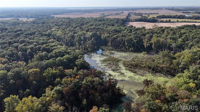 $110,000 | 0 New Athens Darmstadt Road, Lenzburg, IL 62255