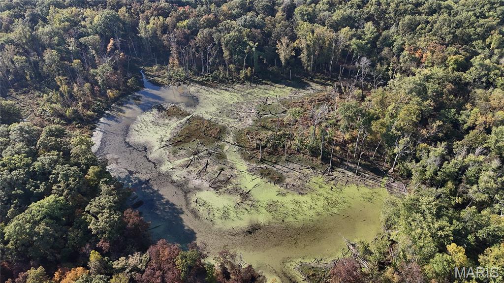 0 New Athens Darmstadt Road Lenzburg, IL 62255 - Photo 4 of 11