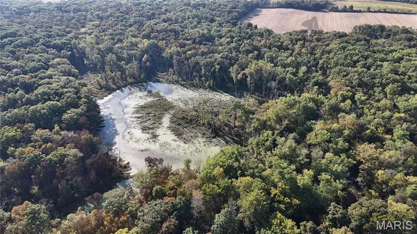 $110,000 | 0 New Athens Darmstadt Road, Lenzburg, IL 62255