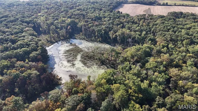 $110,000 | 0 New Athens Darmstadt Road, Lenzburg, IL 62255