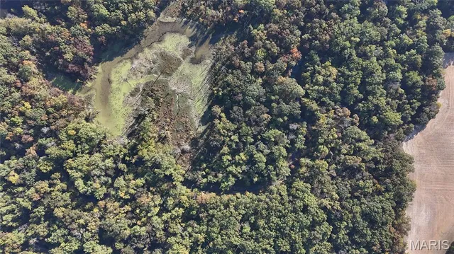 $110,000 | 0 New Athens Darmstadt Road, Lenzburg, IL 62255