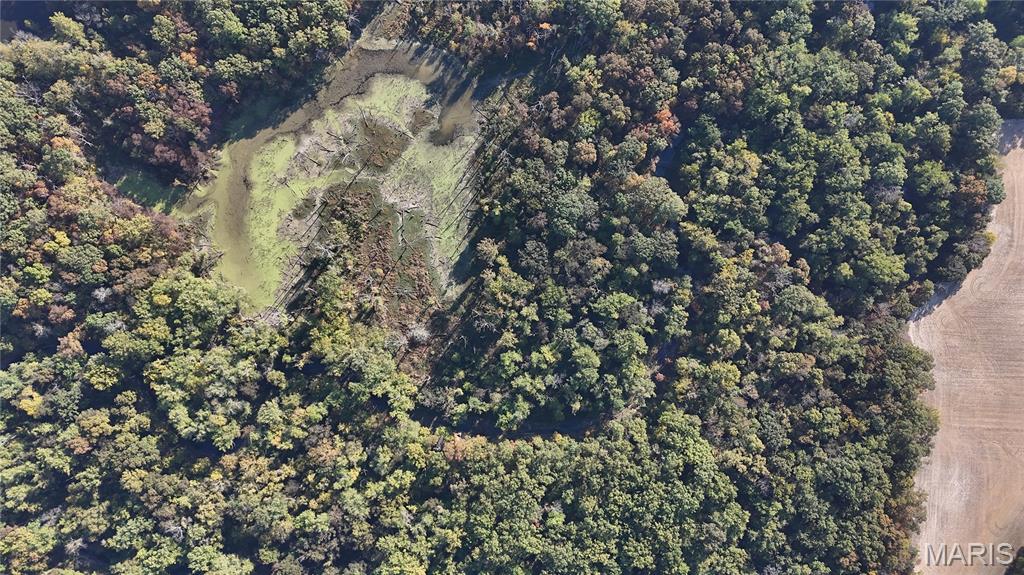 0 New Athens Darmstadt Road Lenzburg, IL 62255 - Photo 6 of 11