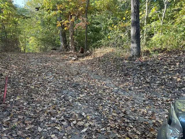 $110,000 | 0 New Athens Darmstadt Road, Lenzburg, IL 62255