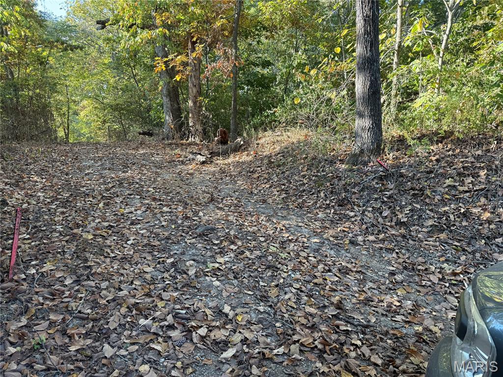 0 New Athens Darmstadt Road Lenzburg, IL 62255 - Photo 9 of 11