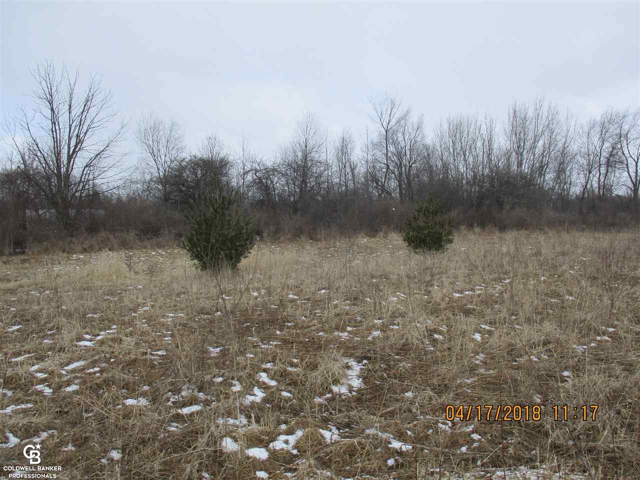 0 Arendt Road Yale, MI 48097 - Photo 4 of 11