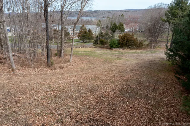 a view of backyard with green space