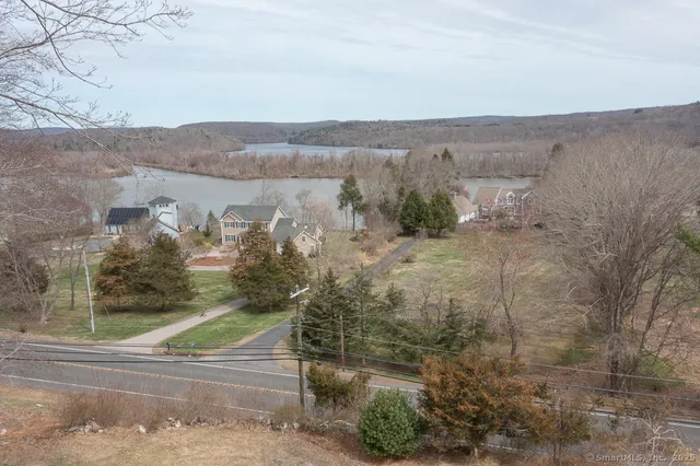a view of a forest with trees in the background