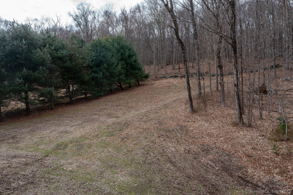 0 Saybrook Road Haddam, CT 06438 - Photo 17 of 22 a view of a forest with trees in the background