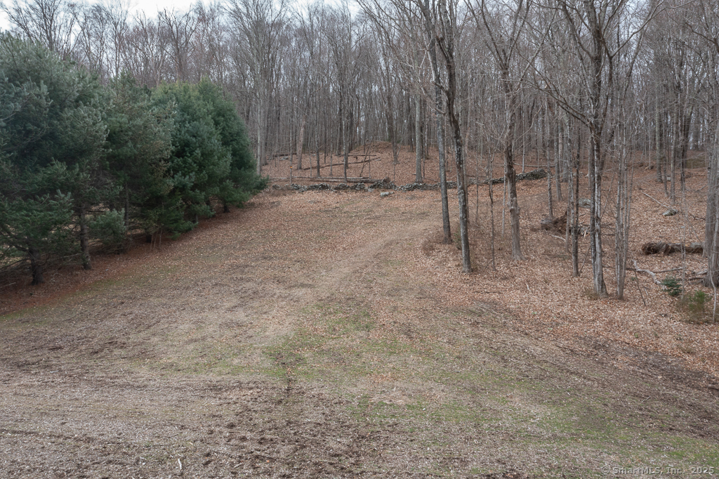 0 Saybrook Road Haddam, CT 06438 - Photo 18 of 22 a view of a forest with trees in the background