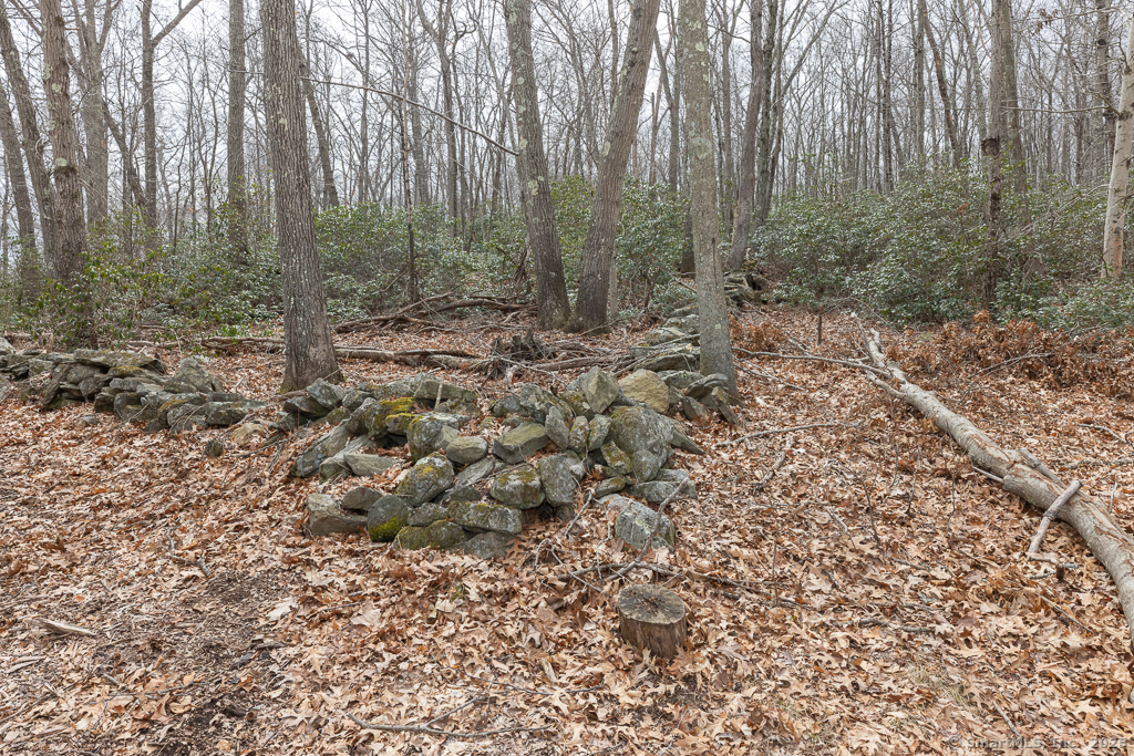 0 Saybrook Road Haddam, CT 06438 - Photo 7 of 22 a view of a forest with trees