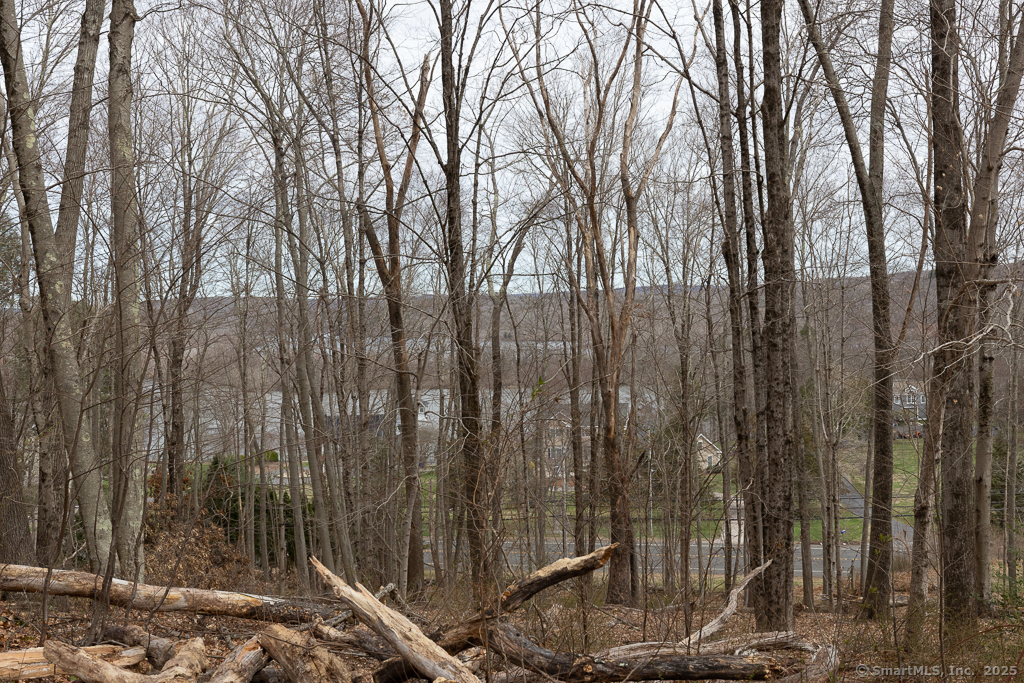 0 Saybrook Road Haddam, CT 06438 - Photo 9 of 22 a view of a forest