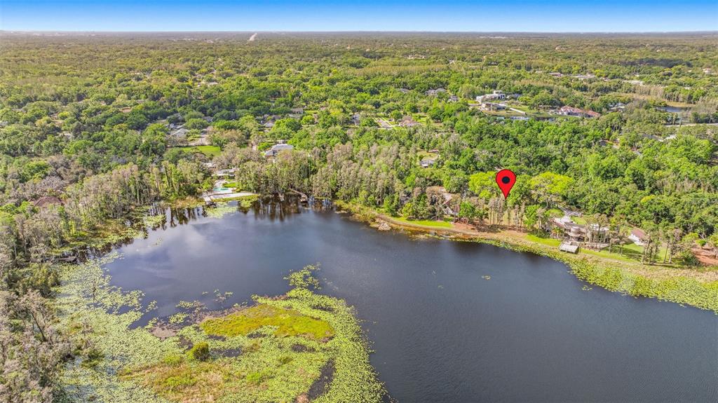 Debuel Road Lutz, FL 33549 - Photo 3 of 20 Gallery Image 3