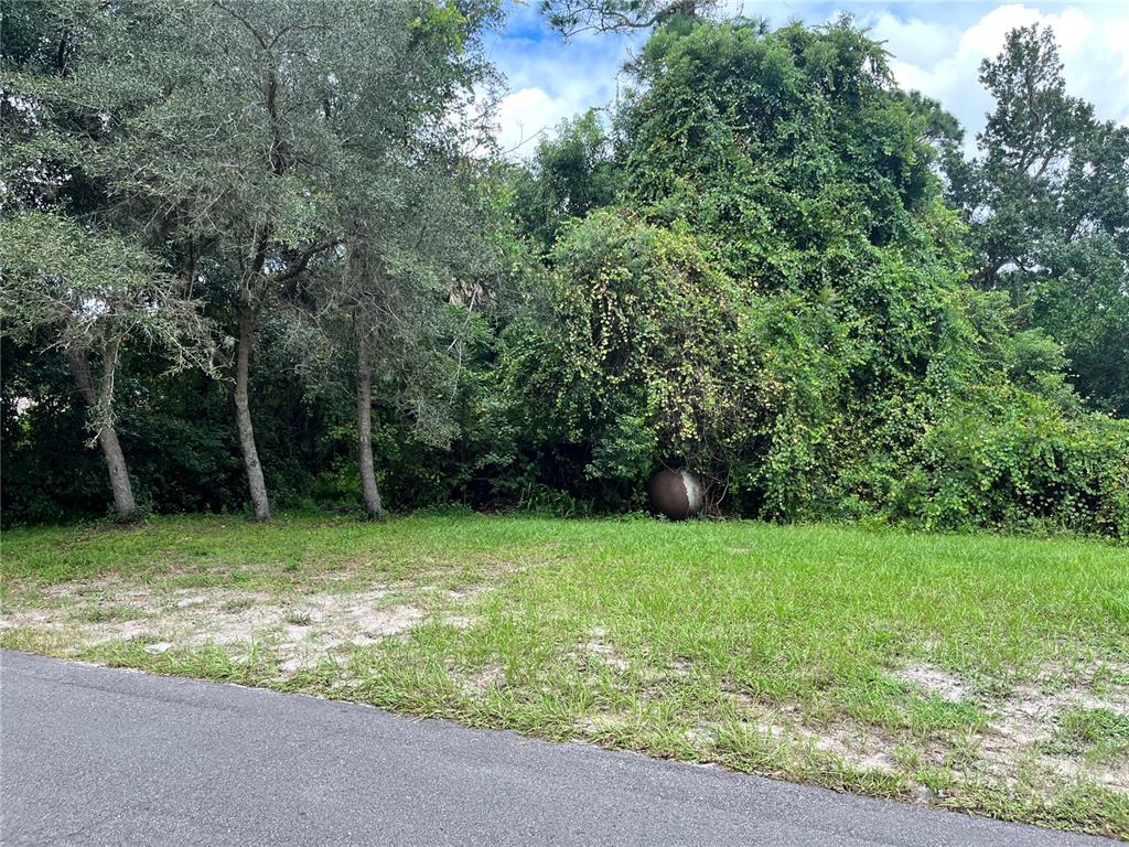 232 Colomba Road DeBary, FL 32713 - Photo 1 of 1