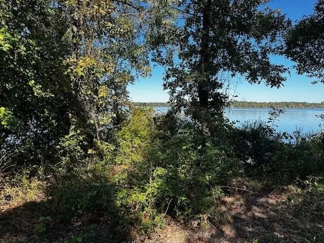 a view of a lake from a yard