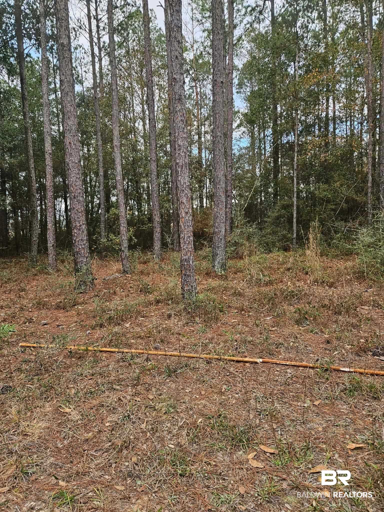0 Gardner Road Elberta, AL 36530 - Photo 1 of 9