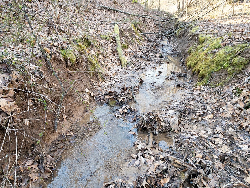 0 Twp Road Dexter City, OH 45727 - Photo 15 of 26