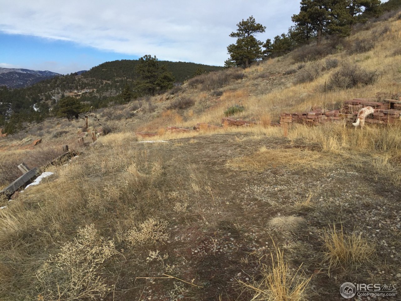 1336 Steamboat Valley Road Lyons, CO 80540 - Photo 6 of 8 Driveway # 2