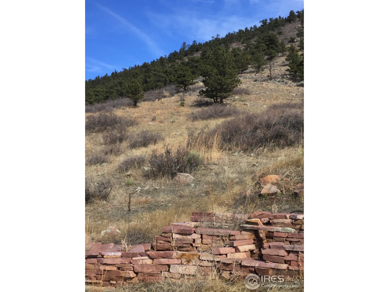 1336 Steamboat Valley Road Lyons, CO 80540 - Photo 8 of 8 Gallery Image 8