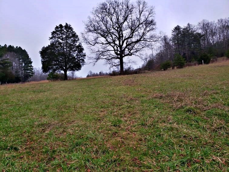 106 County Road 181 Decatur, TN 37322 - Photo 11 of 33 Gallery Image 11