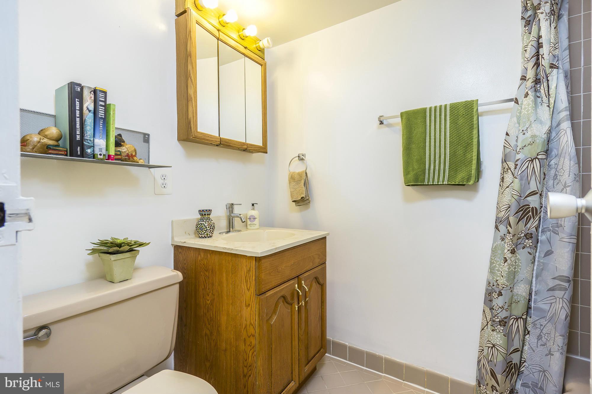 1900 Lyttonsville Road, Unit 1101 Silver Spring, MD 20910 - Photo 13 of 30 Bath