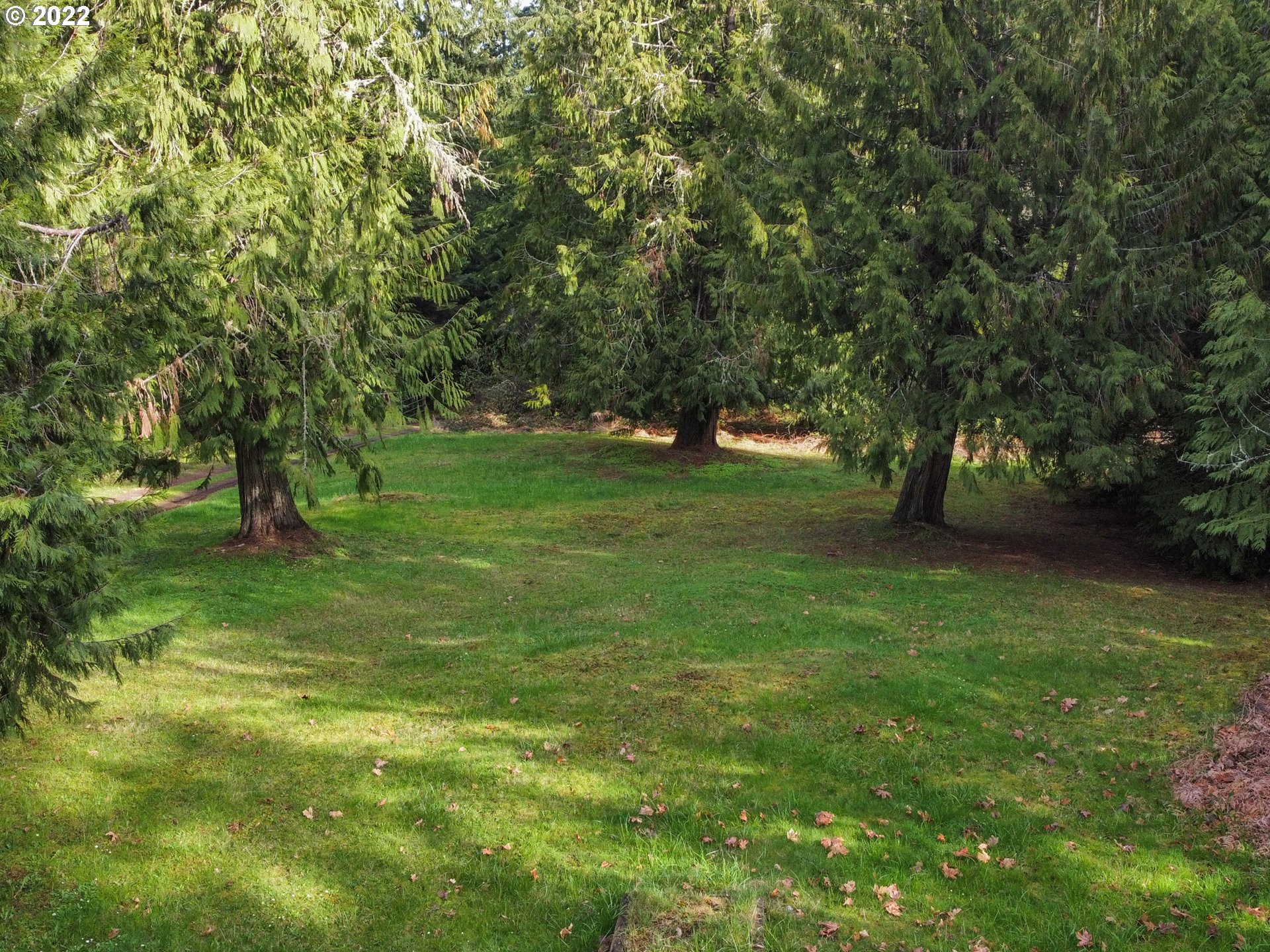 41180 Winberry Creek Road Fall Creek, OR 97438 - Photo 3 of 21 Gallery Image 3