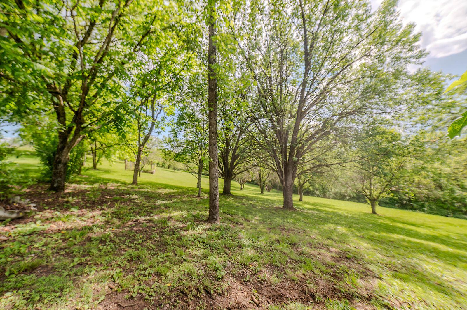 8700 Wood Road Chesterhill, OH 43728 - Photo 10 of 51 DSC_6069