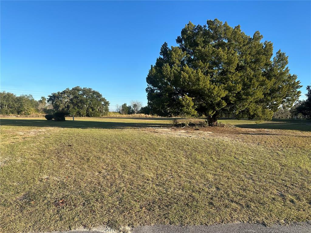 5432 Chestnut Ridge Road Dade City, FL 33523 - Photo 3 of 5 a view of outdoor space with yard