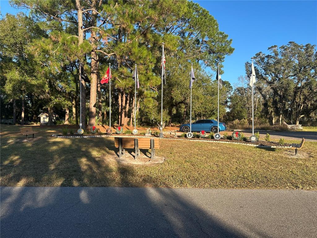 5432 Chestnut Ridge Road Dade City, FL 33523 - Photo 4 of 5 a park with lots of palm trees