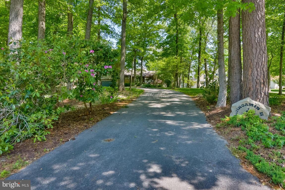 12048 South Piney Point Road Bishopville, MD 21813 - Photo 2 of 62 Gallery Image 2