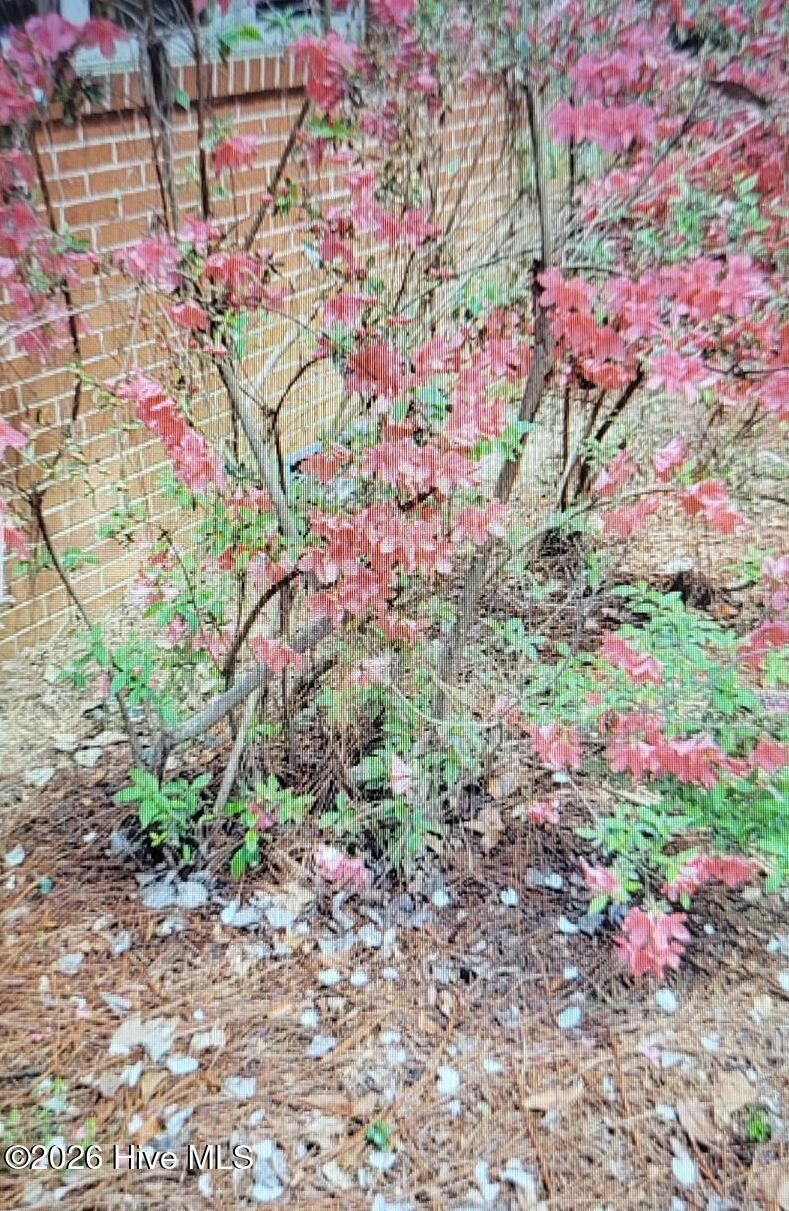 195 Little Road Southern Pines, NC 28387 - Photo 31 of 33