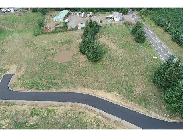 a view of a lush green field