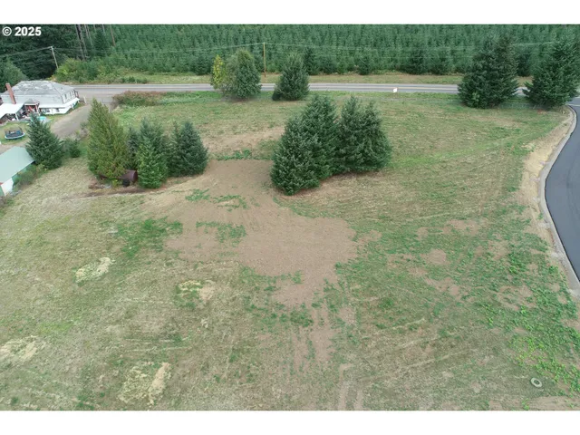 a view of a dry yard with trees
