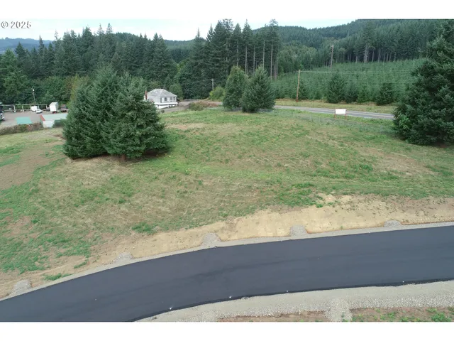 a view of a yard with a tree