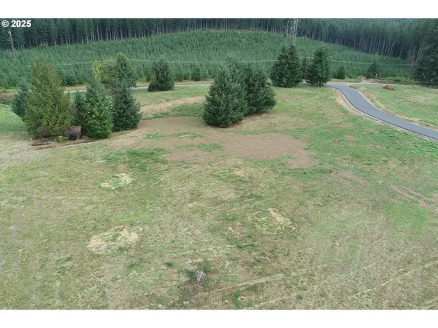 a view of a field with a tree